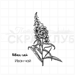 Штамп иван-чай