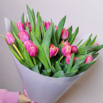 Букет пионовидных тюльпанов 25 шт Columbus