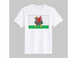 Футболка Казань