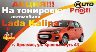 Тонировка Лада калина (lada kalina) Арзамас