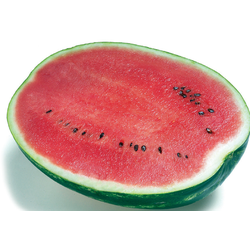 Арбуз Топ Ган F1, 5шт