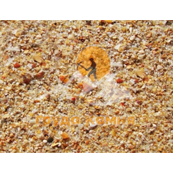 Морской Каспийский песок (желтый)