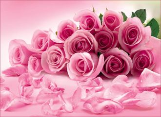 Фотообои VIP VOSTORG Розовые розы 268*196 (8 листов)