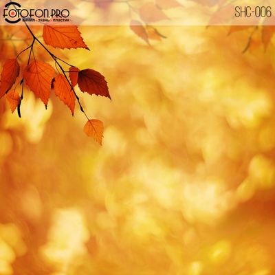 Фотофон виниловый «Первое сентября»