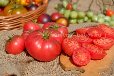 Томат Rebel Starfighter Kayleigh Anne Pink (Восставший Звездный Истребитель Кейли Энн Пинк ), 10 шт