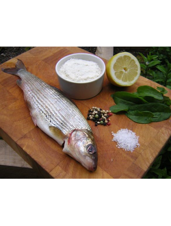 ХАРИУС СЛАБОСОЛЕНЫЙ