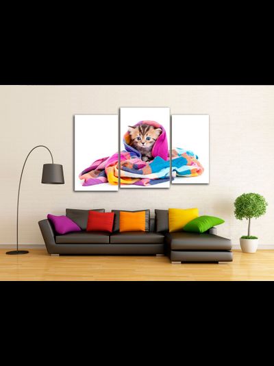 Модульная картина "Котенок в шали"