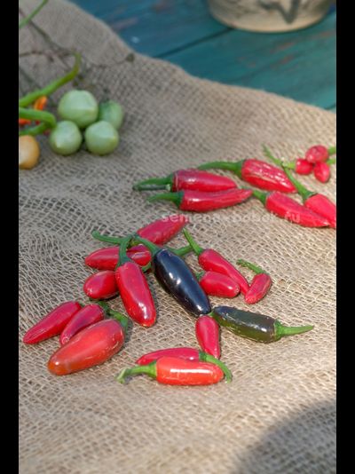 Перец острый Jalapeno Moriachi (Халапеньо Мориачи), 10 шт