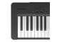 Yamaha P-143BTB