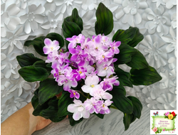 LV-Кирюша (Л. Шевелева) 2022 г. трейлер (клакамас)