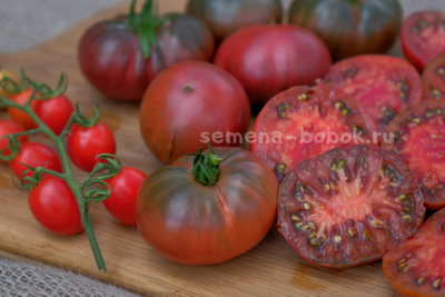 Томат Dwarf PPI (Гном ППИ), 10 шт