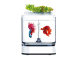 Акваферма Xiaomi Geometry Mini Lazy Fish Tank Pro C300