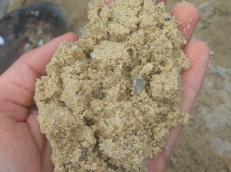 Мытый крупнозернистый песок