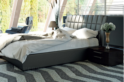 Шкаф-купе Милана 062