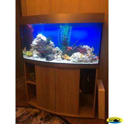 Аквариумный прямоугольный комплекс 250 (Тип тумбы 11)