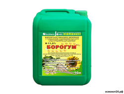 Борогум, 10л