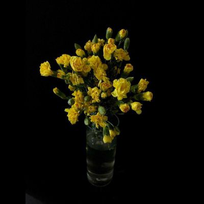 Гвоздика кустовая 15 шт