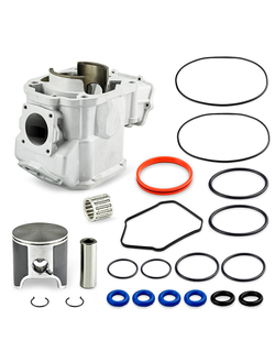 Ремкомплект цилиндров СТАНДАРТ Sledex для Ski-Doo (алюминий) SM-09603K (420623263, 420613944,421000624)