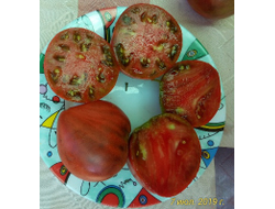 Томат Шоколадное сердце Рейнхарда Крафта (Reinhard Kraft Chocolate Heart)