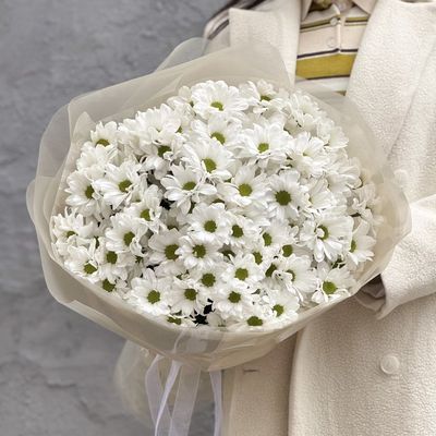 Ромашки для любимых