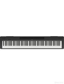 Yamaha P-145B