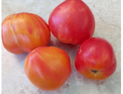 Томат Сердце абрикосовой зебры  (Coeur de Zebre apricot, Heart of Zebre Apricot)