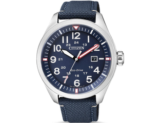 Citizen aviator 2025