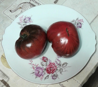 Семена томата Шарбоньер дю Берри