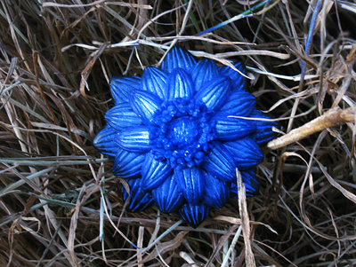 "Цветок, отражающий небо" - волшебное кольцо