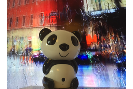 Дизайн-фото