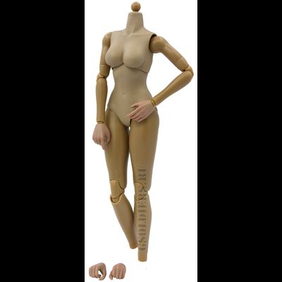 Тело женское (DAM 78035) - DAMToys