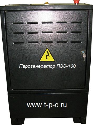 Парогенератор ПЭЭ-100