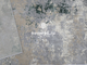ДОРОЖКА LIMAN F163 - GRAY-GREEN / ШИРИНА 1.6 М