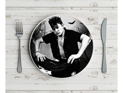 Тарелка Сектор Газа, Юрий Хой №24