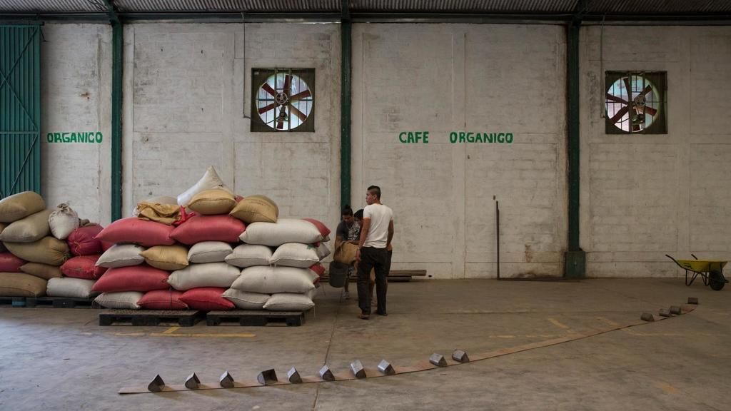 Хранение зелёного кофе на складе в Мексике в джутовых мешках