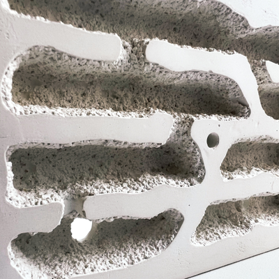 Гипсовый формикарий 4ants Белый Дом 3.0 Grunt