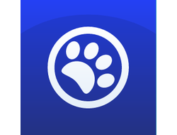 Школа кинологов