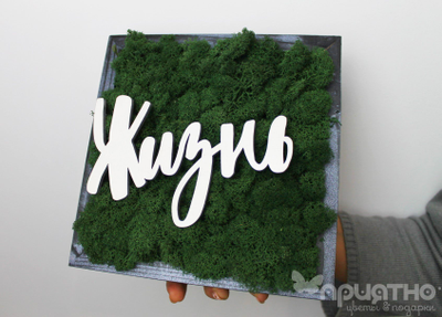 ЖИВАЯ ЭКО-КАРТИНА 1058