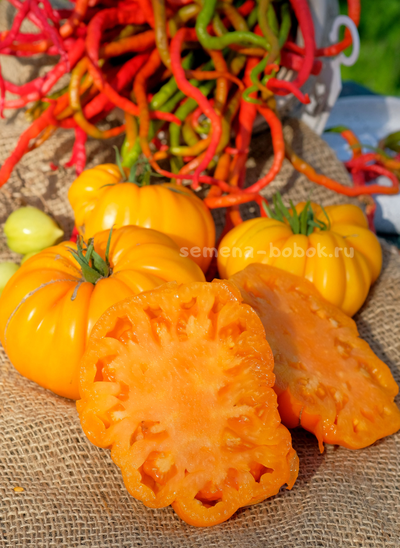 Томат Oro Giant (ОРО Гигант), 10 шт