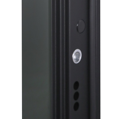 Стальная дверь   Санторини с зеркалом (биометрический замок).