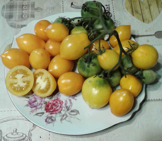 Семена томата Чудо света