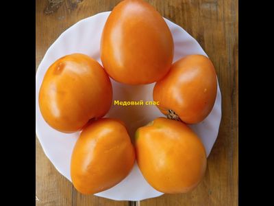 Томат Медовый спас