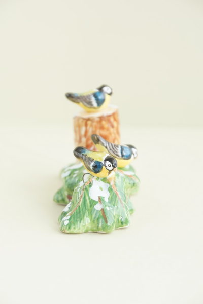 Синички - Птицы России