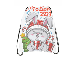 Сумка-мешок для обуви год Кролика №31