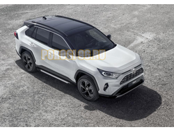 Пороги на Toyota Rav-4 (2019-…) Bmw-style V2