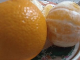 Сок апельсиновый свежевыжатый купить | ферма СытникЪ