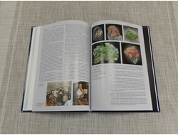 Книга «Коллекционирование минералов» Кантор Б.З. (30,5*21,7*1,2 см, 700 г) №23209