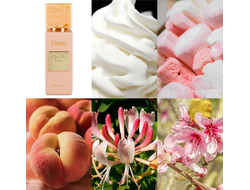 Dr. Gritti Dor De Vara