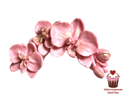 Декор из шоколадной глазури Орхидея Розовая ветка