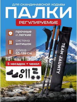 Палки для Ходьбы